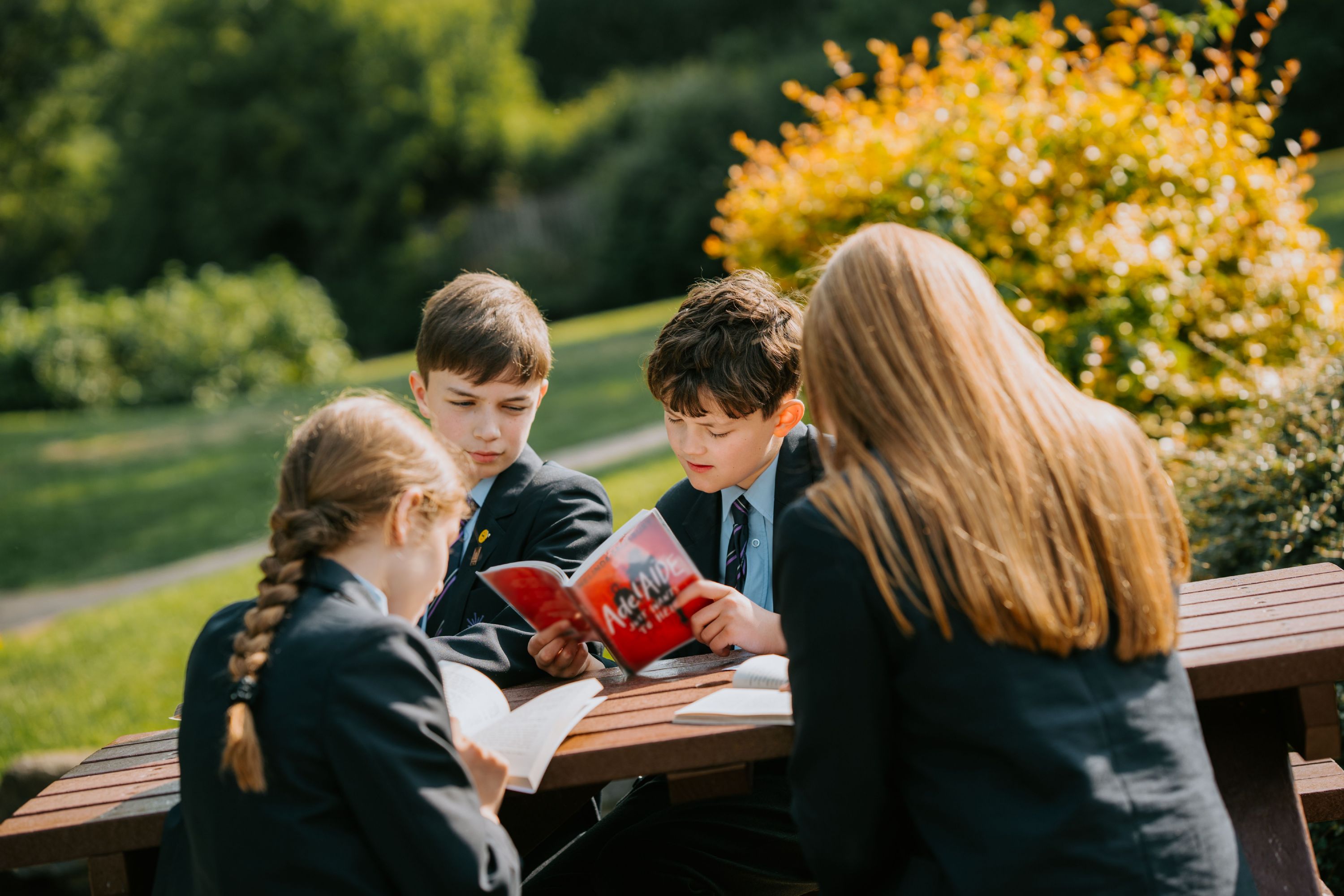 A group of students reading together outside